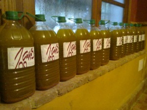 Aceite 100 Caños 