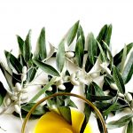 8 curiosidades del aceite de oliva que te sorprenderán