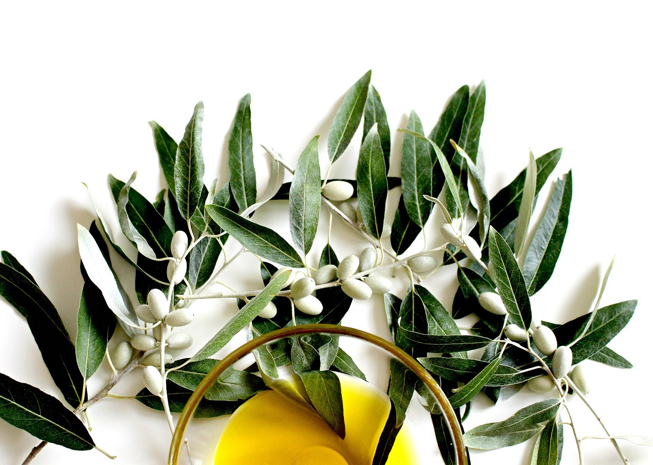 8 curiosidades del aceite de oliva que te sorprenderán
